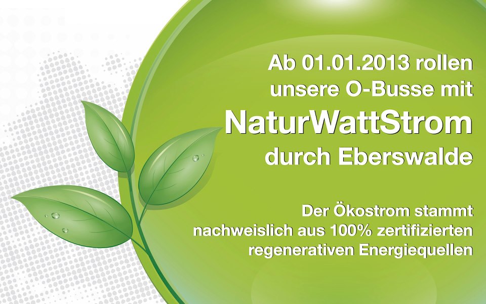 NaturWattStrom