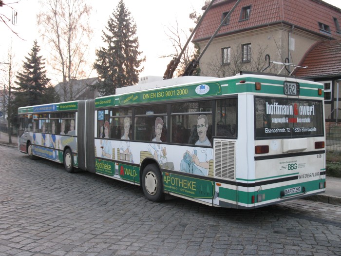 Gelenkobus Nr. 036 vom österreichischen Typ ÖAF Gräf & Stift NGE 152 M17