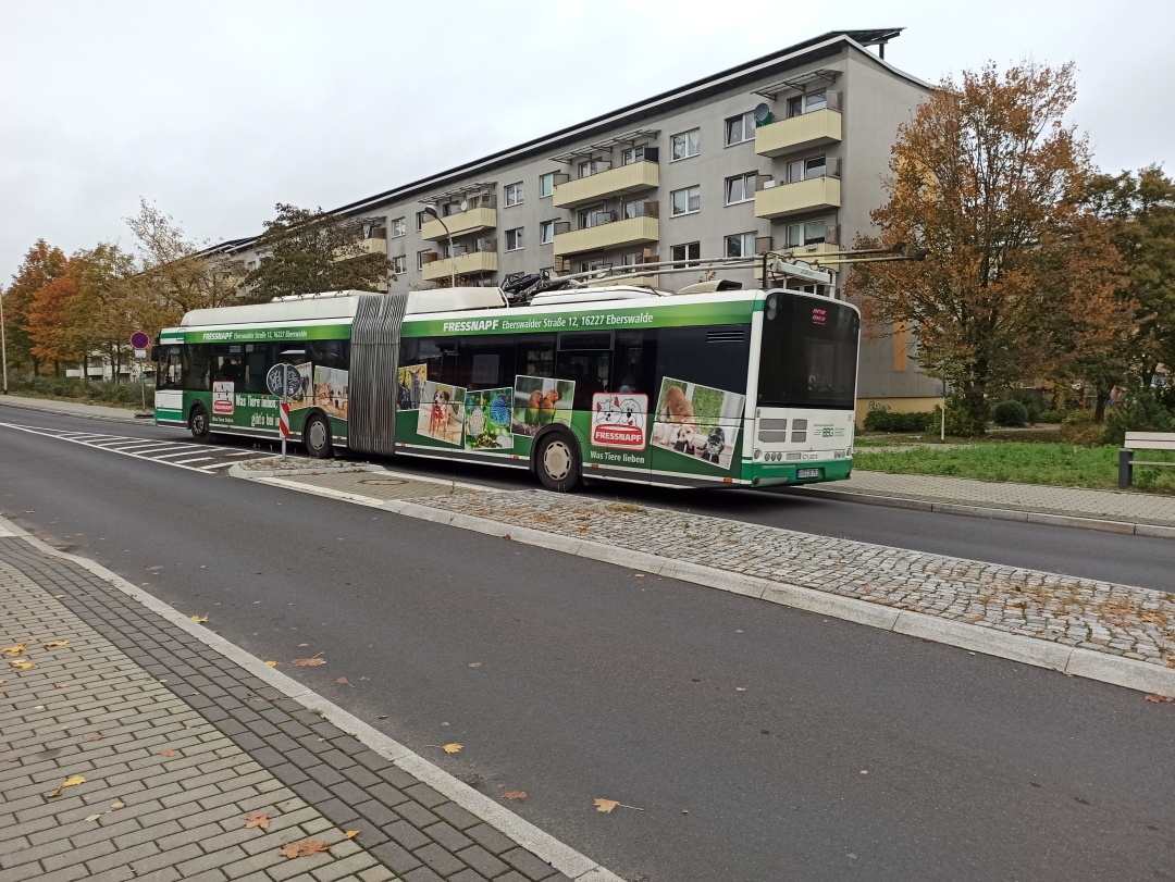 Gelenkobus 051 auf der Fritz-Weineck-Straße in Richtung Finow Schönholzer Straße